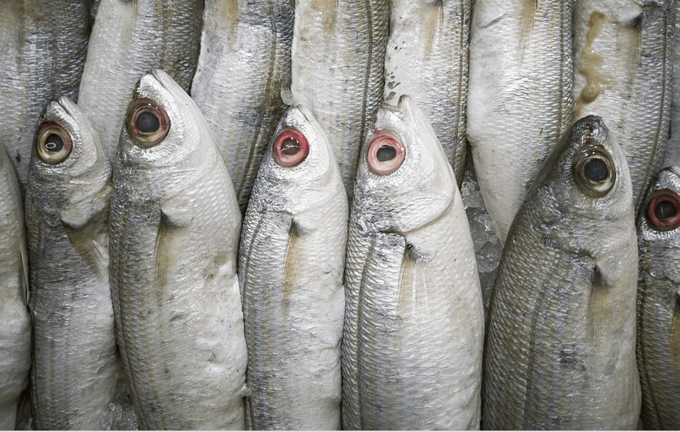 eat food rich in omega 3