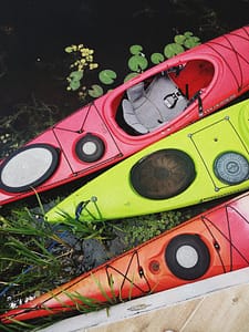 kayaks