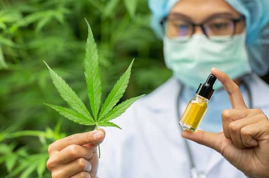 CBD oil